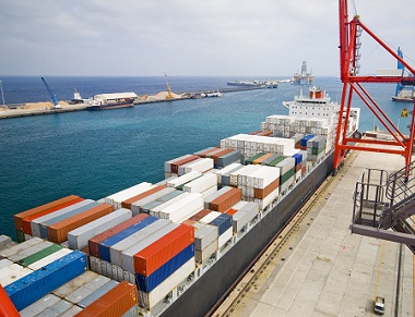 Domestic Trade Logistic