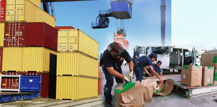 Customes Clearance Service